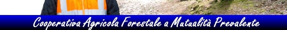 Cooperativa Agricola Forestale a Mutualit&agrave; Prevalente